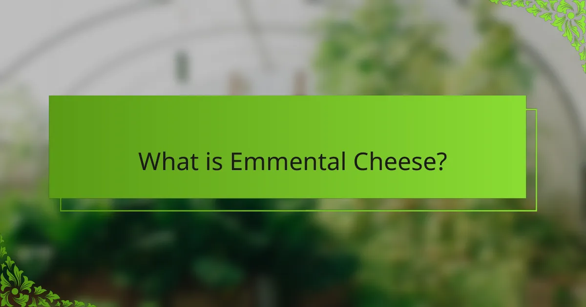 What is Emmental Cheese?