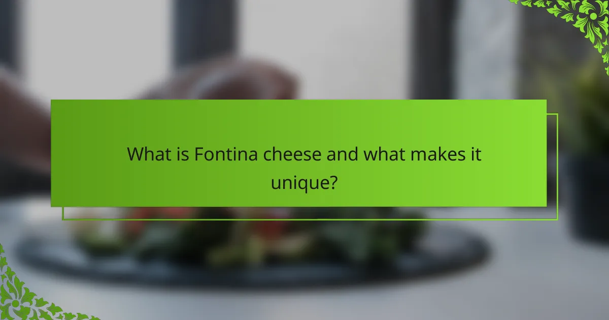 What is Fontina cheese and what makes it unique?
